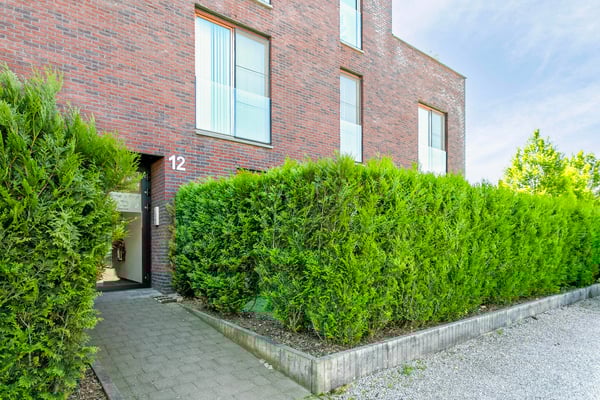 Zandstraat126Maasmechelen02